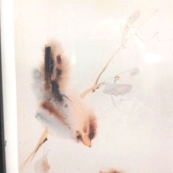 Framed  Signed by Jo Myers Walker, Watercolor Birds "Charles & Judy"  15" X 9" - Picture 3 of 8